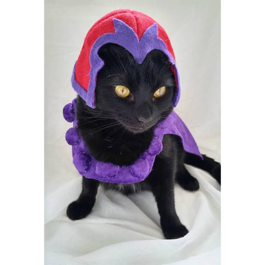 Já não é de hoje a moda de fazer cosplay. Mas agora até os bichinhos de estimação entraram na parada. O tumblr Cat Cosplay se especializou em reunir cosplayers que começaram a fazer fantasias para seus gatos, como Kat, do Instagram @timeywimeyjedi, e Nathan Smith, que chegou a dar uma entrevista ao jornal Daily Mail. As fantasias de Nathan, incluindo a de Jon Snow de Game of Thrones, demoram em média dez horas para ficarem prontas.
