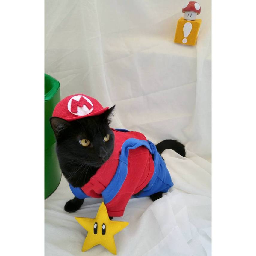Já não é de hoje a moda de fazer cosplay. Mas agora até os bichinhos de estimação entraram na parada. O tumblr Cat Cosplay se especializou em reunir cosplayers que começaram a fazer fantasias para seus gatos, como Kat, do Instagram @timeywimeyjedi, e Nathan Smith, que chegou a dar uma entrevista ao jornal Daily Mail. As fantasias de Nathan, incluindo a de Jon Snow de Game of Thrones, demoram em média dez horas para ficarem prontas.