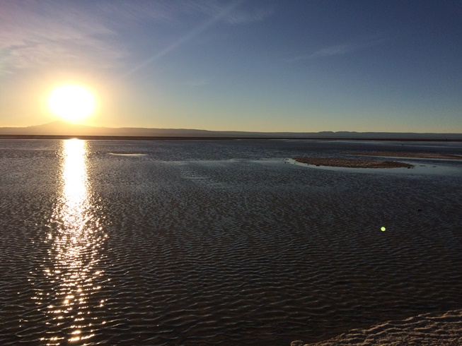 Salar de Atacama: não esqueça os binóculos para conseguir ver os flamingos!