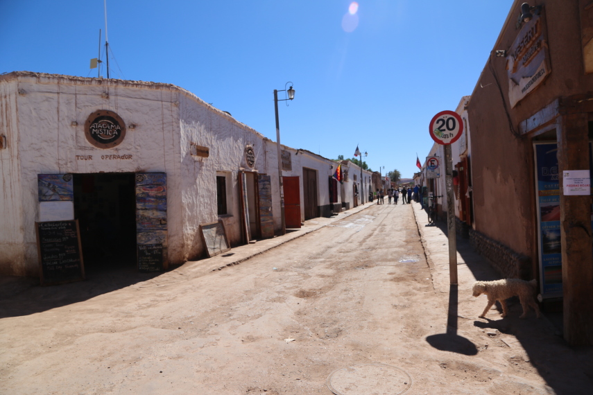 San Pedro de Atacama: assim como em todo o país, a vila também tem uma enorme população de cachorros de rua