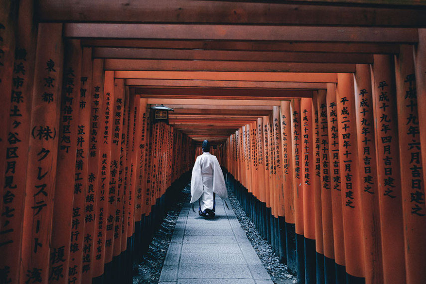 O templo é um dos mais importantes da religião Shinto, uma das mais tradicionais do Japão, dedicado ao Inari Ōkami, kami japonês das raposas, da fertilidade, do arroz, da agricultura, da indústria e do êxito em geral. Por isso, você provavelmente encontrará muitas estátuas de raposas pelo local