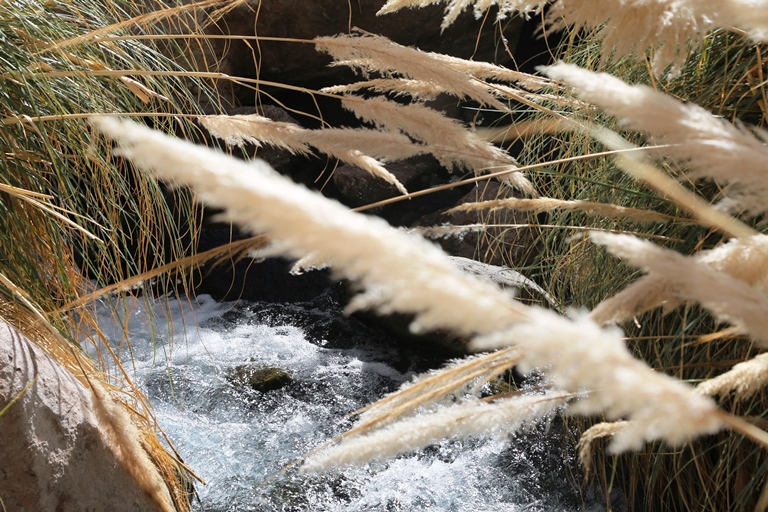 Termas de Puritama: a água das piscinas fica entre 32ºC e 33ºC 