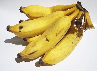 Bananas são extremamente nutritivas, além de uma excelente fonte de energia. Contudo, também são super calóricas tendo em média 120 calorias