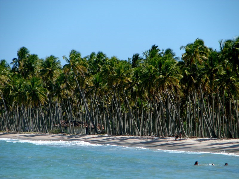 A Ilha de Boipeba fica no Arquipélago de Tinharé, no Sul da Bahia. Os únicos acessos são marítimo ou fluvial. Não atravessam automóveis, sendo os percursos feitos a pé ou de trator. A região foi reconhecida pela UNESCO como Reserva da Biosfera e Patrimônio da Humanidade.  A paisagem é linda e, apesar do acesso ser trabalhoso, vale a pena conhecer