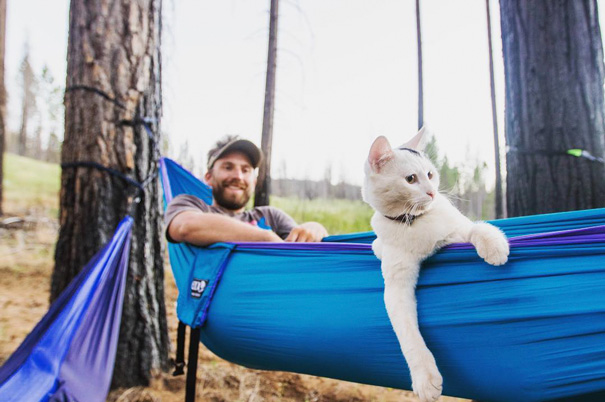 Na conta @campingwithcats, Ryan Carter posta foto de pessoas que levam seus felinos para curtir a natureza e escalar