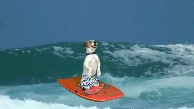 Quem disse que areia e água salgada só têm graça com muita gente? Você pode aproveitar um dia sol na praia por conta própria, também, sem precisar se preocupar com a agenda de ninguém