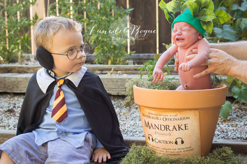  Jesse e Katherine Oldfield resolveram fazer um ensaio newborn do filho Theodore baseado em Harry Potter e a Câmara Secreta 