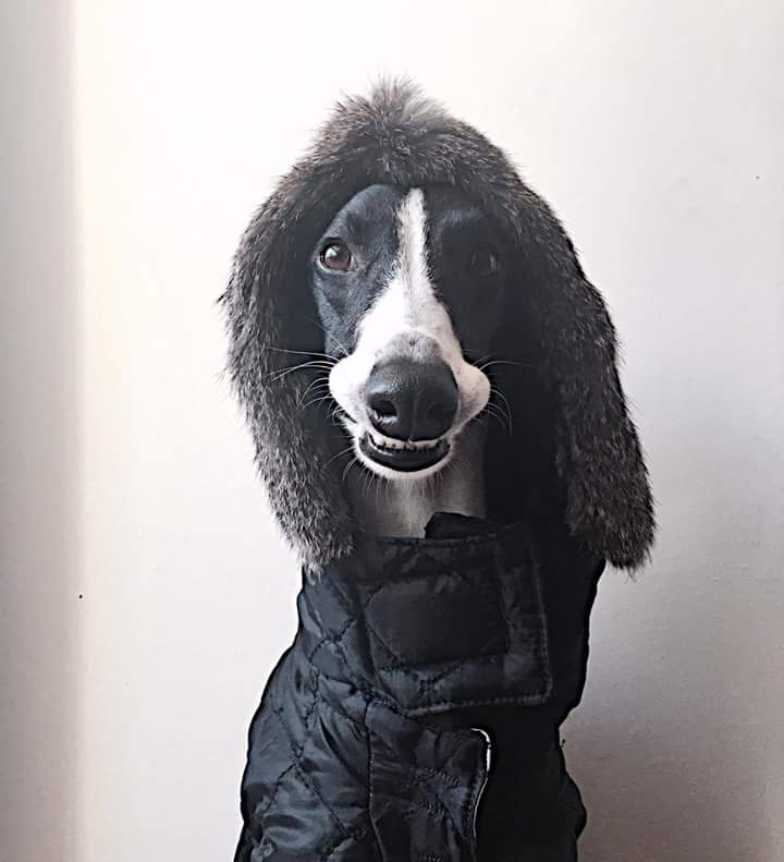 A roupa é da marca BECK+barnet e custa a partir de R$ 169