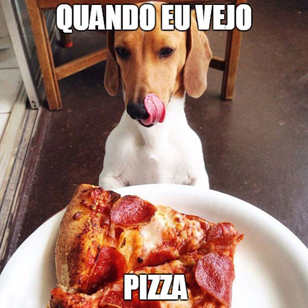 'catioro' aprova