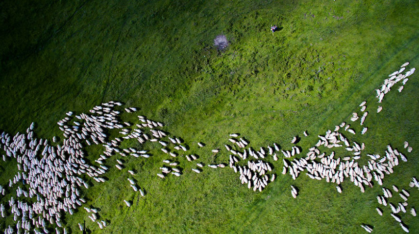 As imagens foram premiadas no 3º Annual International Drone Photography Award, que consagra as melhores fotos feitas por drone no ano