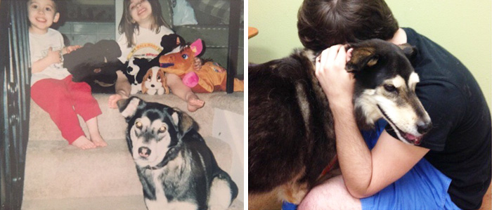 Usuários compartilharam fotos que mostram a emoção dos últimos dias de seus bichos de estimação. Mesmo assim, é amor que dura para sempre, não tem jeito ♥