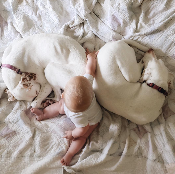 Um cachorro e um bebê de oito meses são inseparáveis na hora do cochilo e a mãe registra tudo