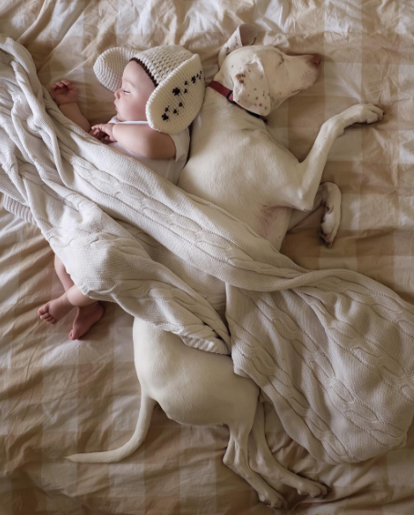 Um cachorro e um bebê de oito meses são inseparáveis na hora do cochilo e a mãe registra tudo