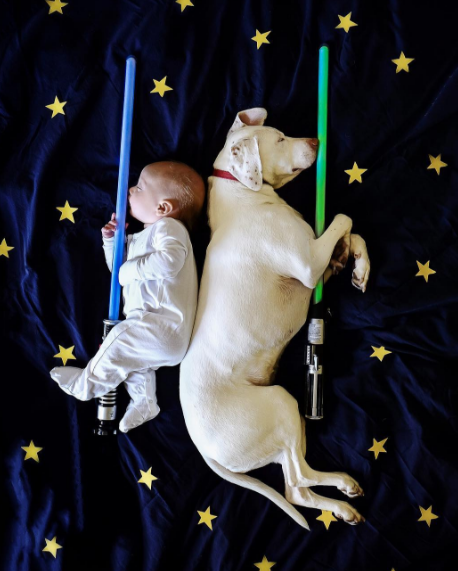 Um cachorro e um bebê de oito meses são inseparáveis na hora do cochilo e a mãe registra tudo