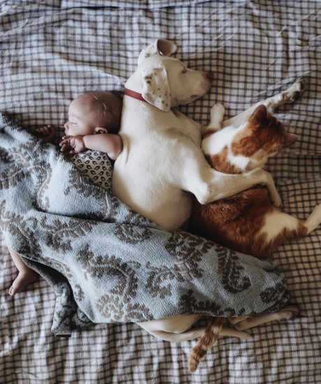 Um cachorro e um bebê de oito meses são inseparáveis na hora do cochilo e a mãe registra tudo