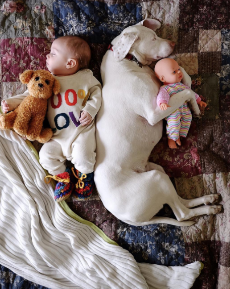 Um cachorro e um bebê de oito meses são inseparáveis na hora do cochilo e a mãe registra tudo