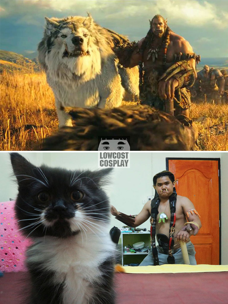 Versão felina