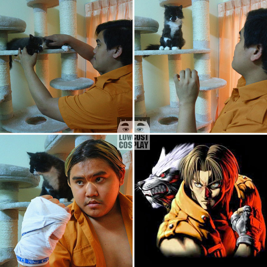 Coitado dessa gato