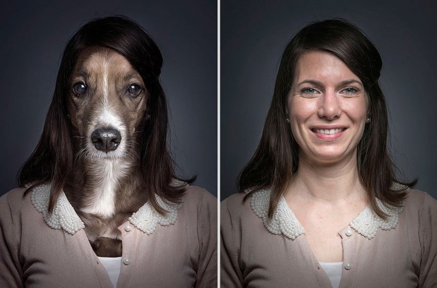 Série traz cachorros vestidos como seus donos