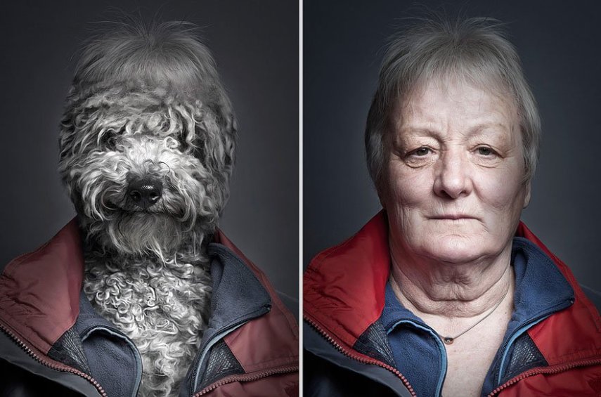 Série traz cachorros vestidos como seus donos