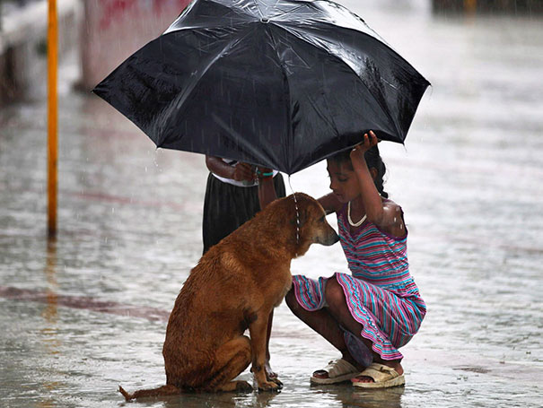 A preocupação dessa garotinha é proteger um cachorro de rua durante tempestade em Mumbai