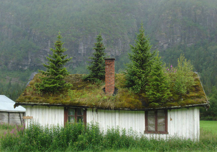 Pensou ter uma casinha de campo como essa daqui? Meta de vida!