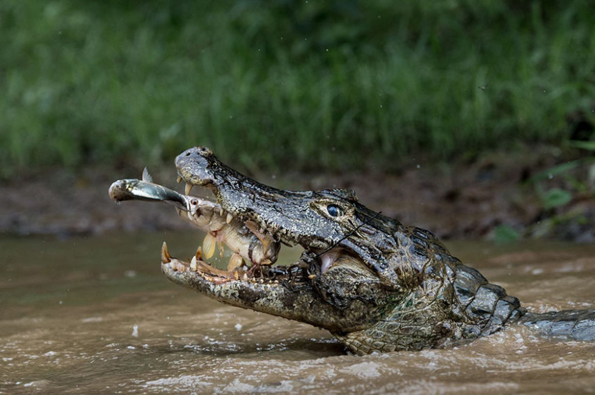 Vencedores de concurso de fotos de viagem da National Geographic