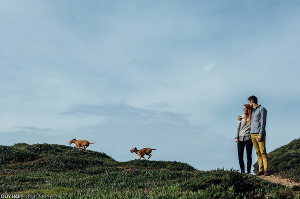 Galinha, cachorro, galinha, cavalo: noivos convocam seus animais de estimação para ensaio de noivado