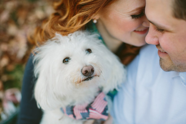 Galinha, cachorro, galinha, cavalo: noivos convocam seus animais de estimação para ensaio de noivado