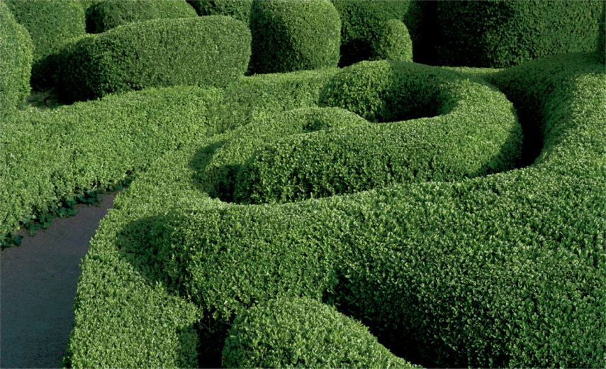 Fotógrafo Philippe Jarrigeon se aventurou pelos labirintos do Château de Marqueyssac, um jardim encantador na França. Parece que o Edward Mãos de Tesoura passou por aqui, né?