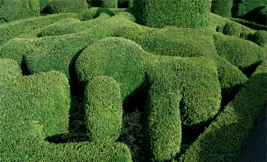 Fotógrafo Philippe Jarrigeon se aventurou pelos labirintos do Château de Marqueyssac, um jardim encantador na França. Parece que o Edward Mãos de Tesoura passou por aqui, né?