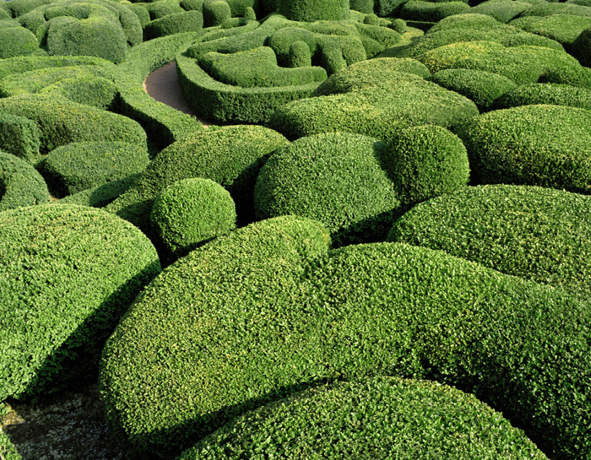 Fotógrafo Philippe Jarrigeon se aventurou pelos labirintos do Château de Marqueyssac, um jardim encantador na França. Parece que o Edward Mãos de Tesoura passou por aqui, né?