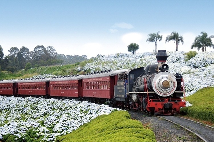 Trem do Vinho no Rio Grande do Sul