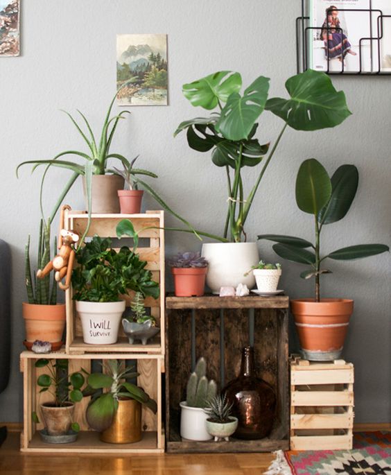 Plantas deixam o ambiente mais arejado e feliz. Um pouco de verde, na medida certa, pode deixar o seu apê maior. Se não couber em nenhum lugar, vale procurar aqueles suportes aéreos, que caem do teto