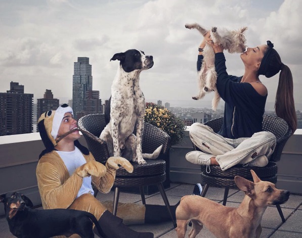 O belga conhecido como Average Rob criou uma conta no Instagram (@averagerobs) para fazer montagens no Photoshop e compartilhar os piores momentos que viveria com as celebridades