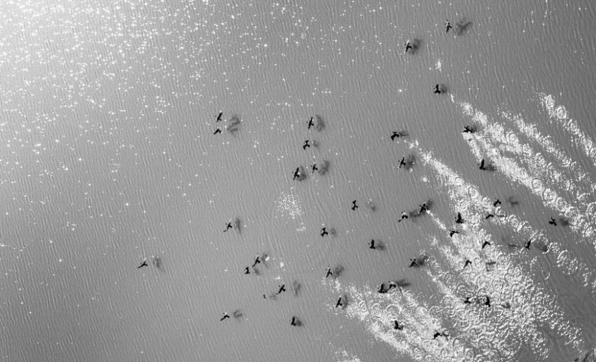 Shamim Shorif Susom é um piloto de aviões e tem a fotografia como hobby