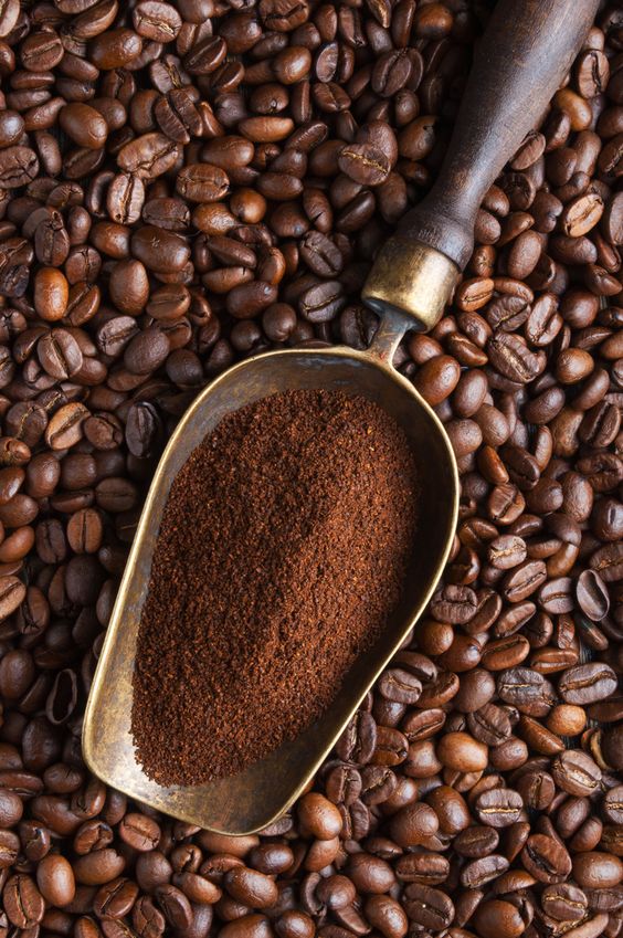 Tem gente que insiste na ideia de colocar café na geladeira. para tudo! Ele absorve o aroma de outros alimentos, por isso a dica é deixá-lo na despensa, em um pote apropriado.