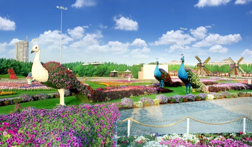 São 45 milhões de flores espalhadas ao longo de 72 mil metros quadrados exibidas em várias esculturas e muitos designs diferentes