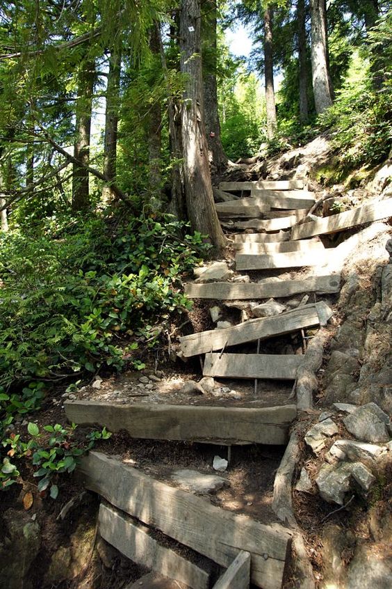  Perto de Vancouver, há uma curta trilha conhecida como Grouse Grind. É uma das mais íngrimes do mundo. É subir de 0 a 1000 metros em menos de 3 km. Em uma parte, é preciso subir 2.830 degraus. Aventureiros costumam se perder e o resgate trabalha bastante para resgatá-los