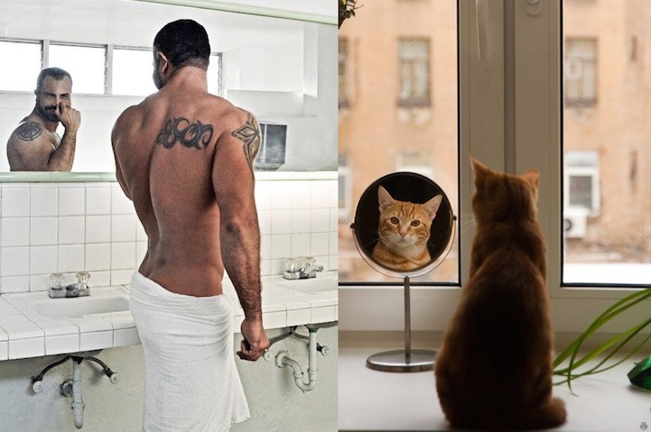 Série Hommes et Chatons