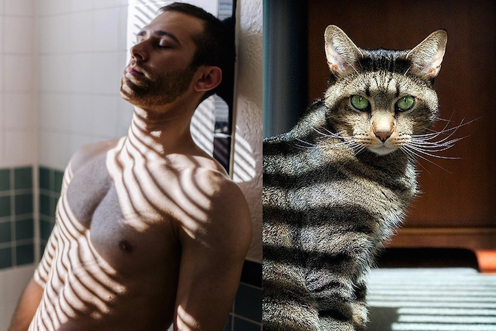 Série Hommes et Chatons