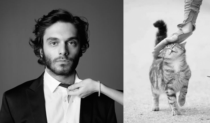 Série Hommes et Chatons