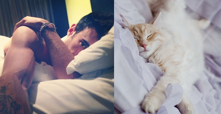 Série Hommes et Chatons
