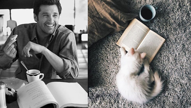 Série Hommes et Chatons
