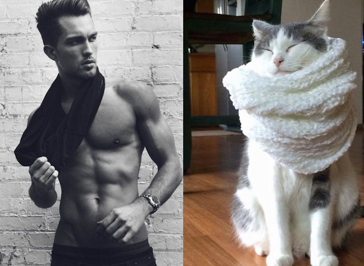 Série Hommes et Chatons