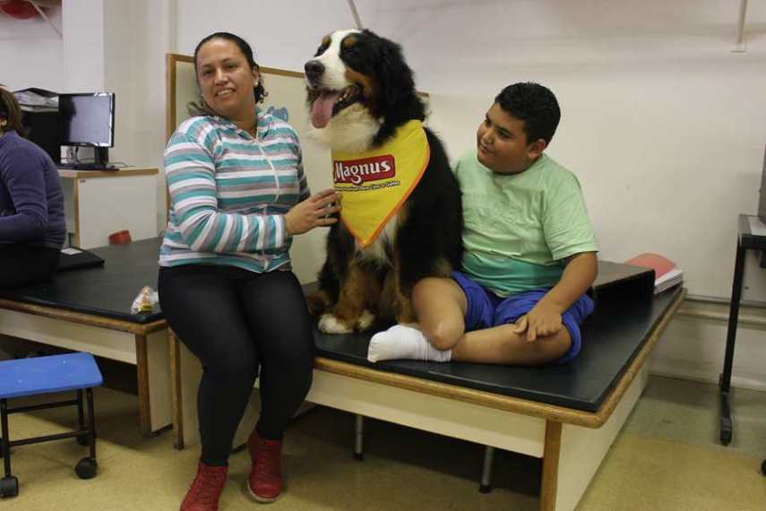 Magnus, cão terapeuta