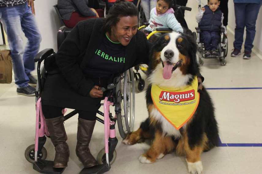 Magnus, cão terapeuta