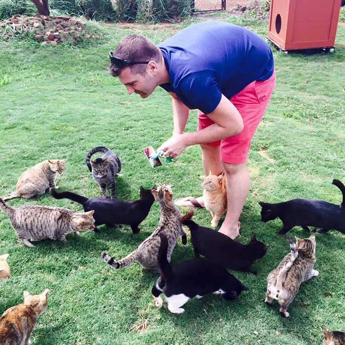 O Lanai Cat Sanctuary tem 25 mil metros quadrados e quase 500 gatos para os visitantes brincarem e mimarem