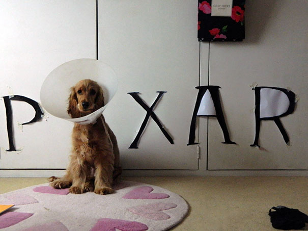 Para deixar o momento sofrido do cachorro um pouco mais divertido