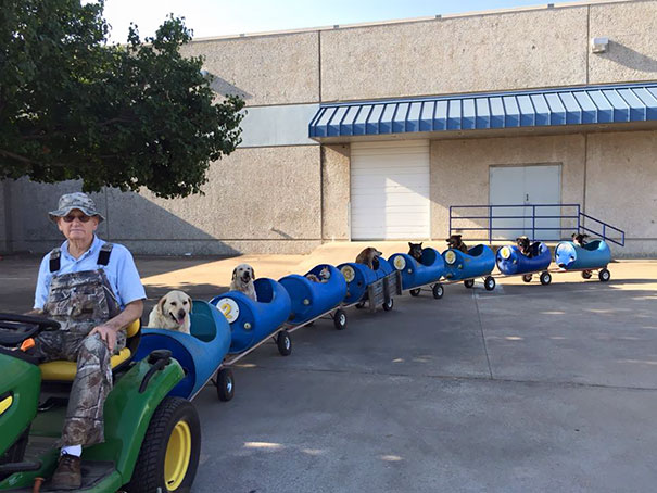 Este senhor de 80 anos construiu esta centopeia para dar um rolê com animais de um abrigo